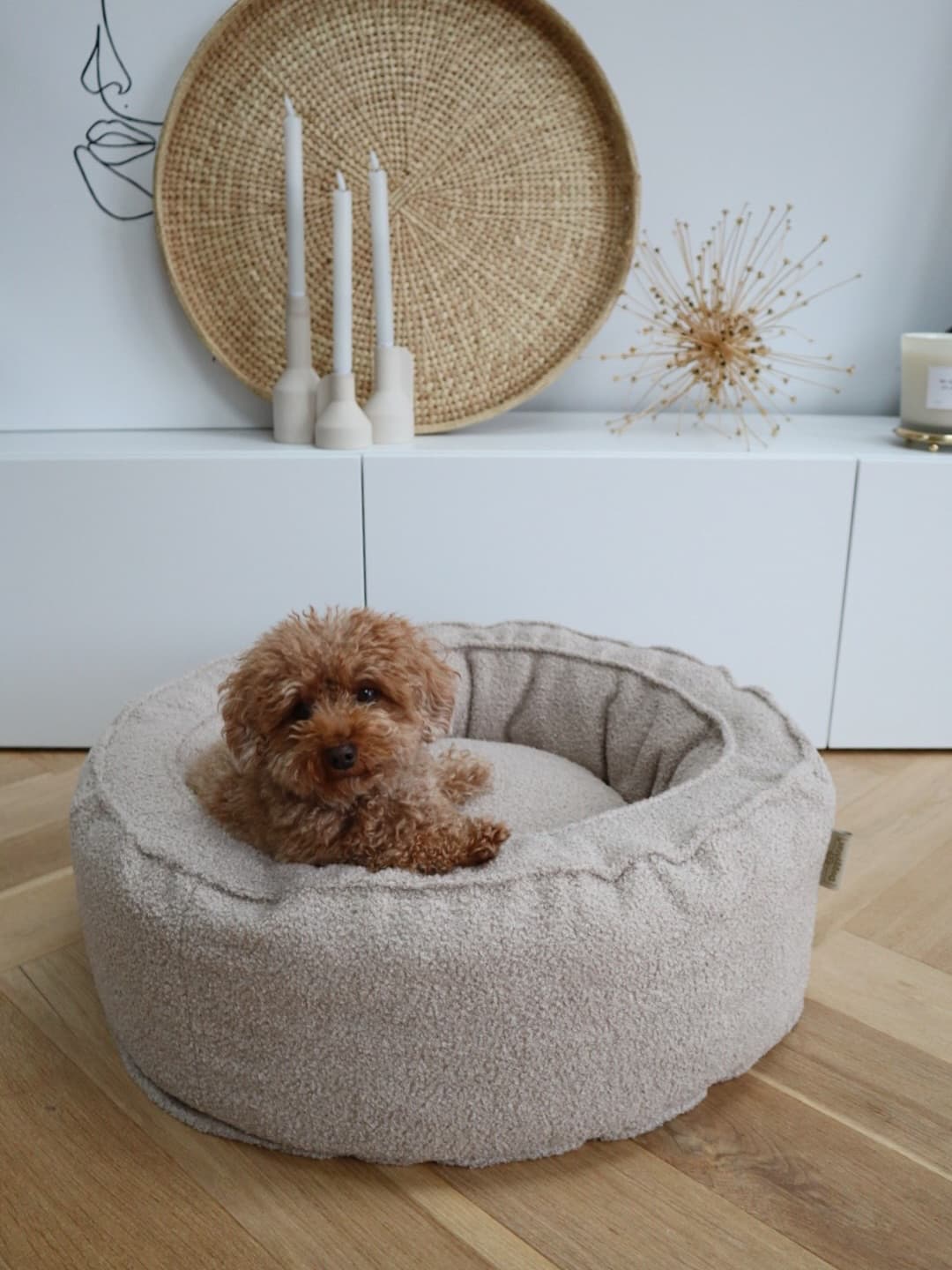 Hond droomt in zijn nieuwe luxe mand van Petty's